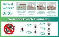 Cockroach Killer for Kitchens, Bathrooms (Pack of 12)